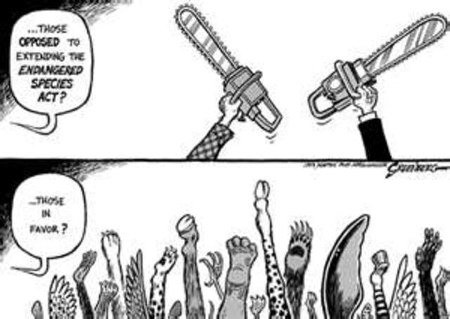 Endangered Species act