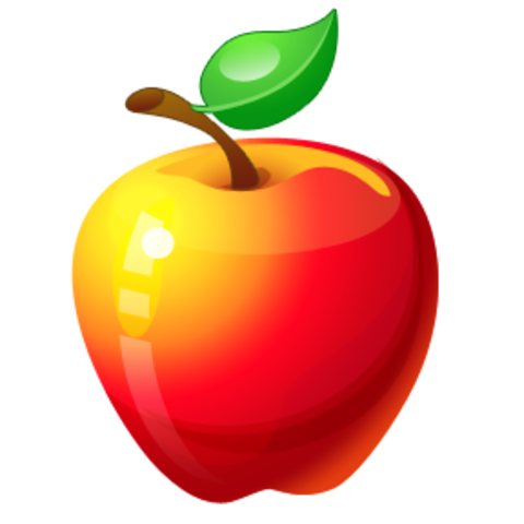 Mentor's suggestions