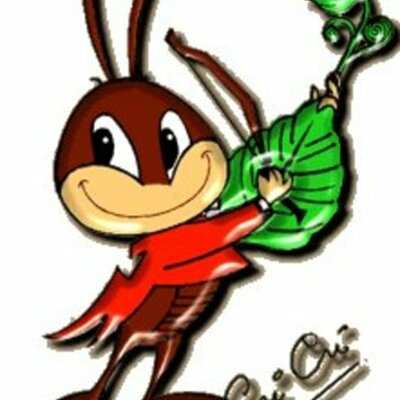 Timeline: Motivación Cri Crí Zoólogo