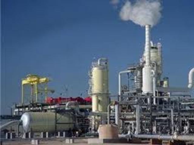 Fundacion de Empresa Genetica