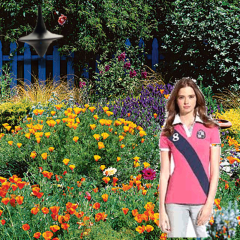 Of Mentors and Straw Hats