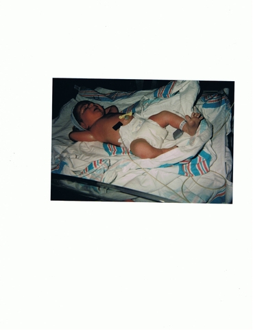 Zach Bauer is born in Ormond Beach, Florida.