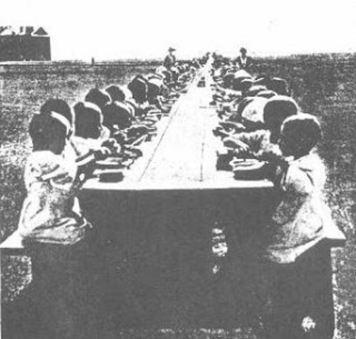 Halide Hanum, the Turkish female author, and head of an orphanage established in Syria, receives 70 Armenian orphans in her orphanage in order to Turkify them.