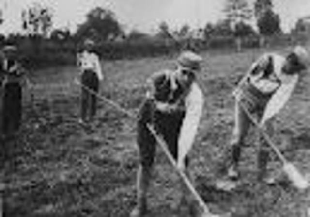 Most of the Genocide