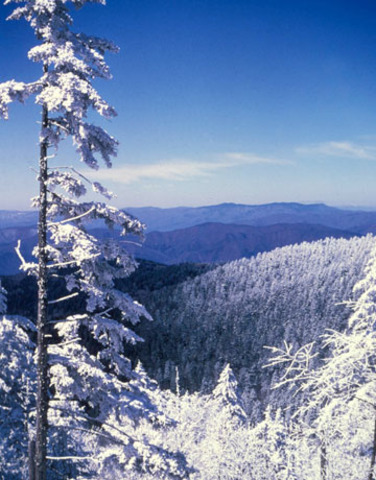 The smoky mountain park