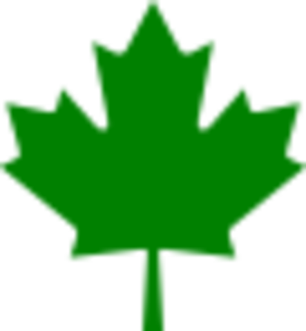 First Political Leader