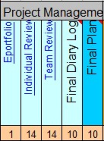 Poject management documents