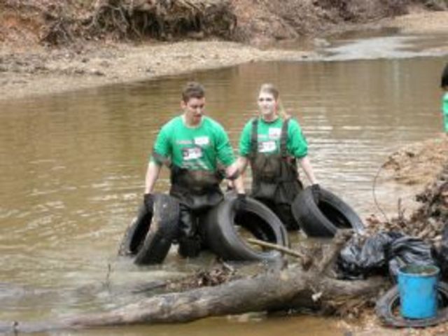 STLF Begins to Spread