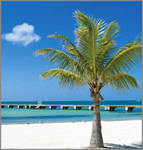 Divorce and Relocation