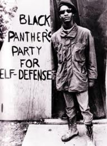 The Black Panther Party