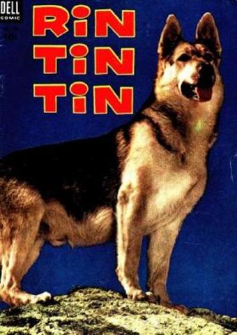 Rin-Tin-Tin