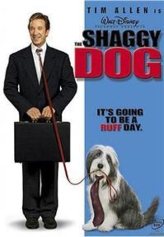 The Shaggy Dog