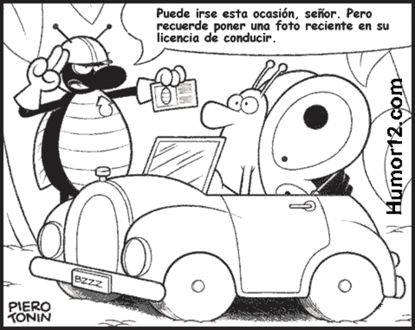 ENTREGA DE LICENCIA DE CONDUCCIÓN