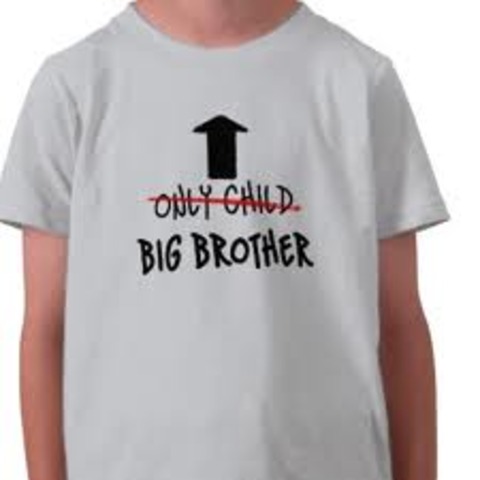 Cognitive Adolescence