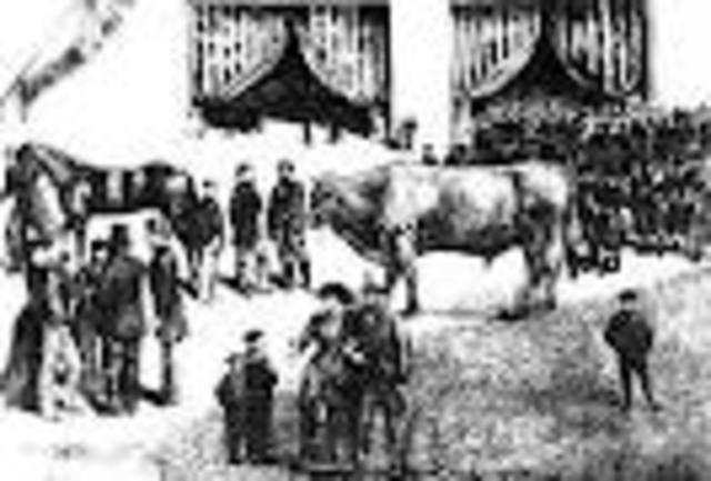 Consolidación Capitalismo