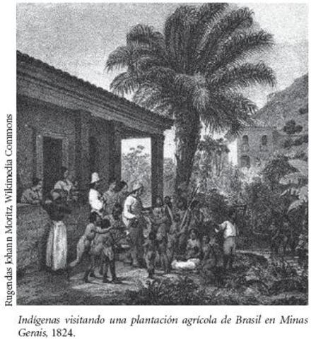 ideologias y modernizacion del desarrollo