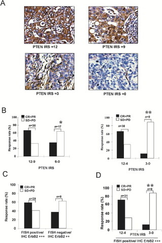 Loss of PTEN predicts trastuzumab resistance