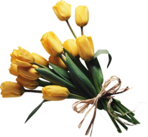 Сарнычева Елена Анатольевна