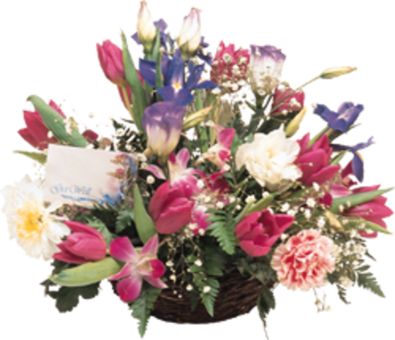 Потапова Лидия Васильевна