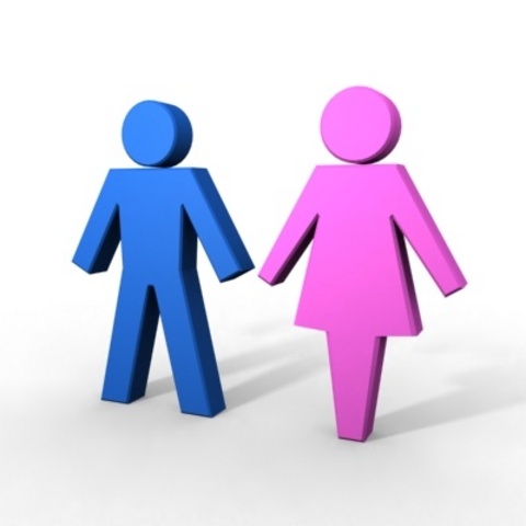 Sex Discrimination Act