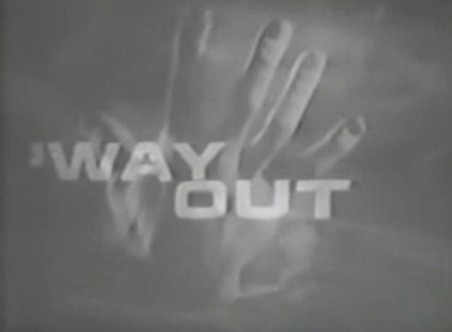 Television Experience