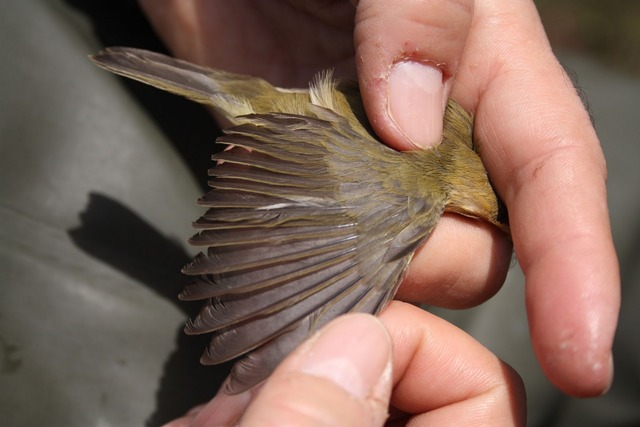 REAJUSTAMIENTO DE MI VIDA