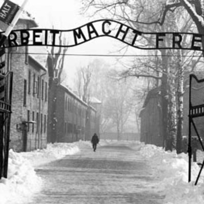 Timeline: Night Timeline