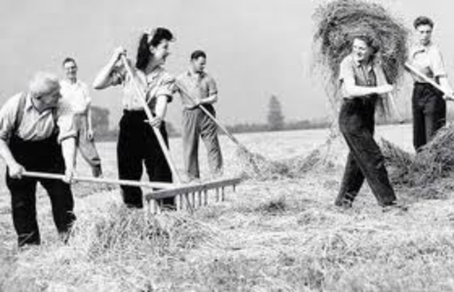 Prim Applies (and is accepted) for a job at the land army