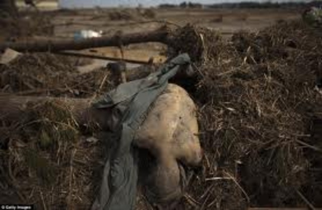 Timothy is killed during the Tsunami, he covered and protected Phillip