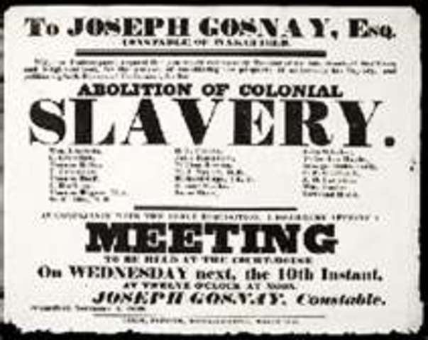 •	13th Amendment (1865)