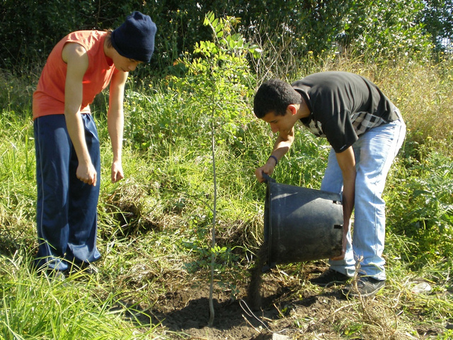 Dia Mundial da Floresta
