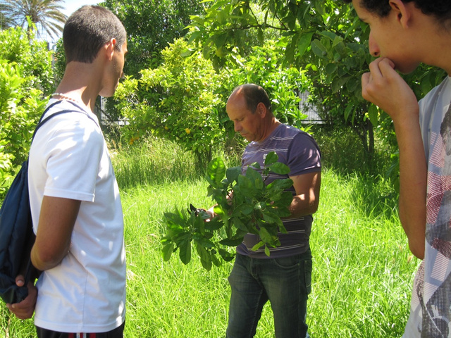 Formação sobre enxertia