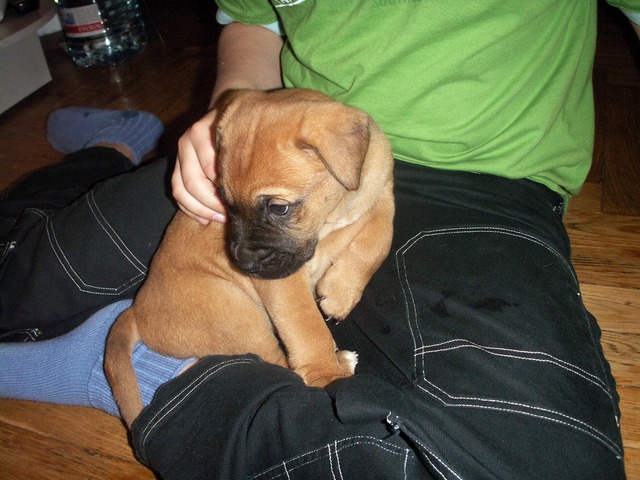 Senta . Sünnikoht Tallinnast  Narva suunas umbes 40 km jne--> siia saab kirjutada pikalt-laialt vajaliku teksti