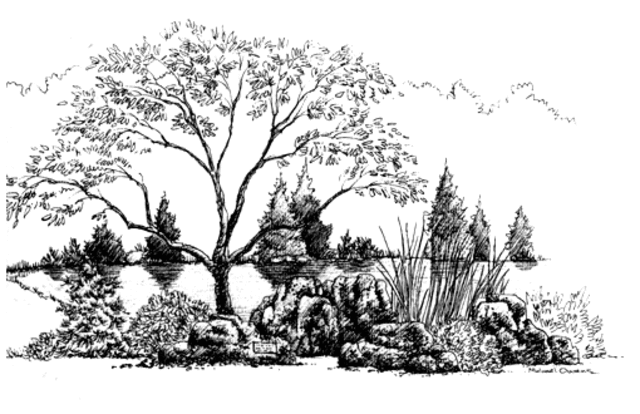 Sketch of the Design