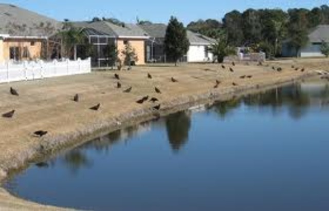 Later That Day- Journal