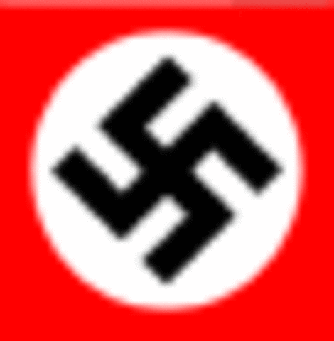 Nazis take Control