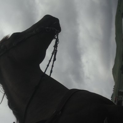 Timeline: georgia mcneill