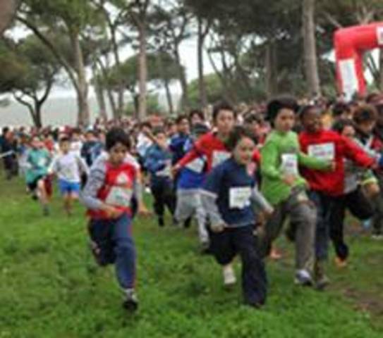 Corta Mato Escolar, Distrital e Nacional