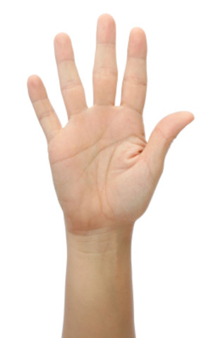 Katniss Volunteers as Tribute -mm5624