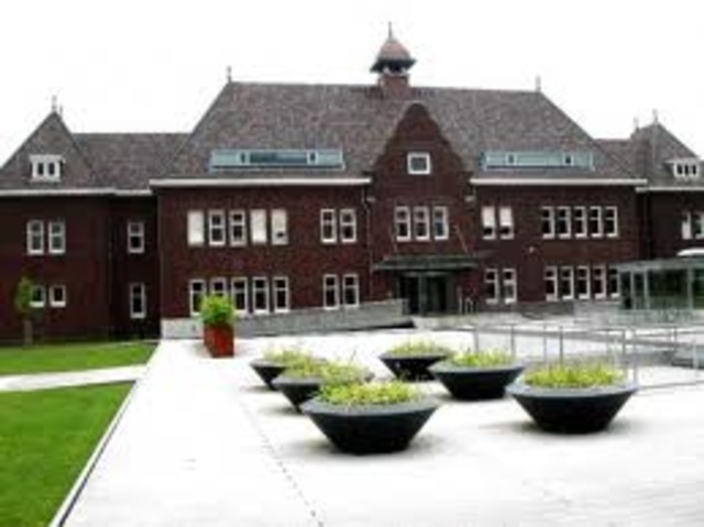 Royal Institute for Blind Youth