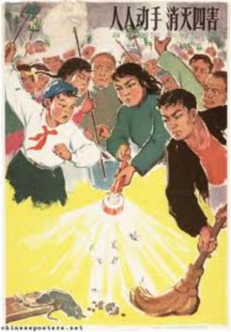 The Four Pest Campaign