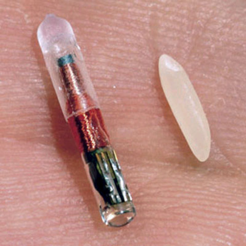 The Invention of the Microchip