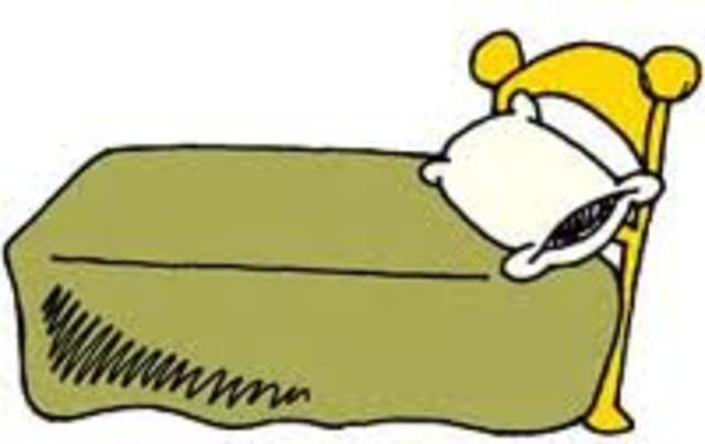 Bed and figure 4 trap are done.