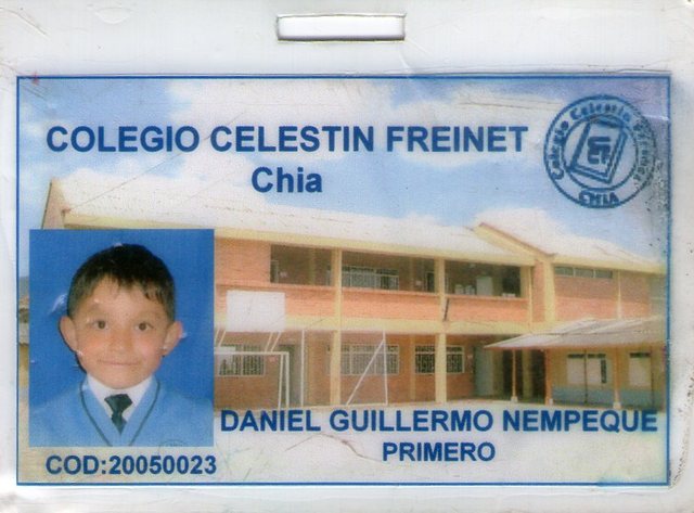 mi primer año en primaria