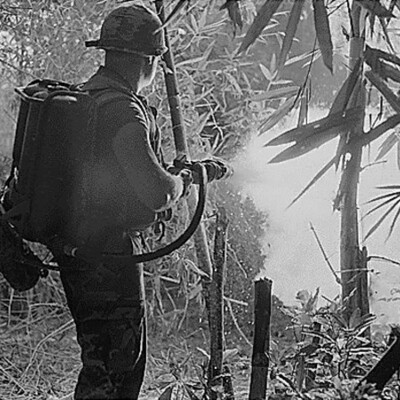 Timeline: Chapter 30: The Vietnam War