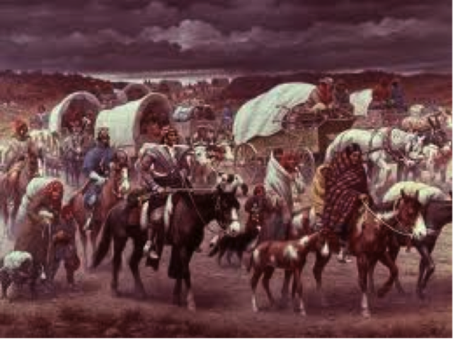 Indian removal act