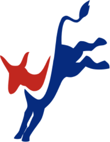 Beginning of the democratic party (jacksonian democracy)