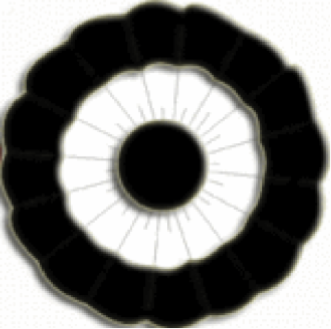 Beginning of the Federalist Party