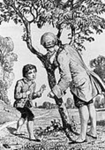 George Washington Enters Life