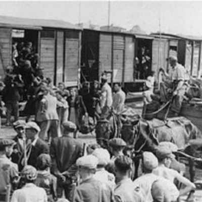 Timeline: The Final Solution